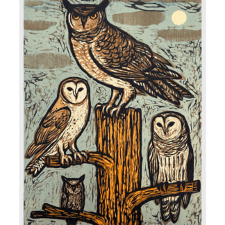Southern Owls