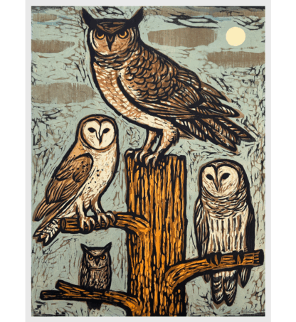 Southern Owls