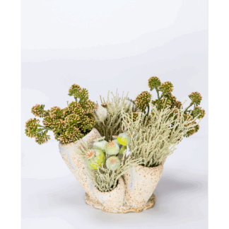 Coral sculpture vase