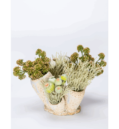 Coral sculpture vase