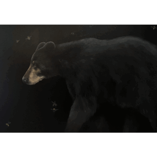 Bear and Bees