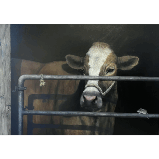Cattle Stall