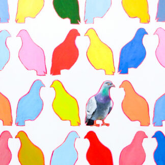 Pigeon Party