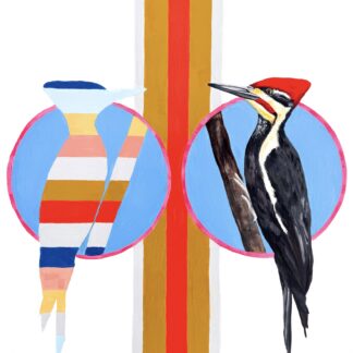 Pileated