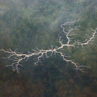 Fracture