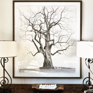 Golf Club of Tennessee Tree