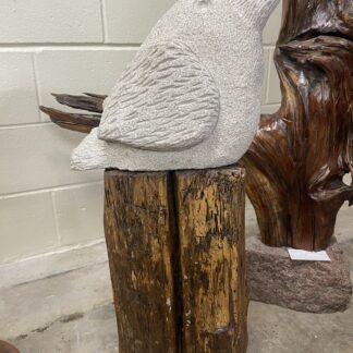 Limestone Crow on-Poplar Log