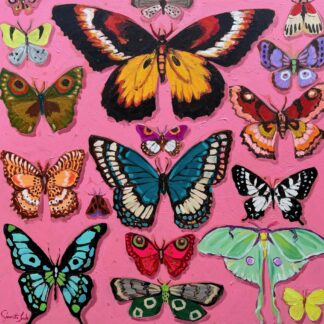 Pink Butterflies