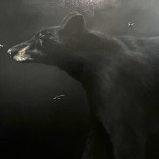 Bear and Bees